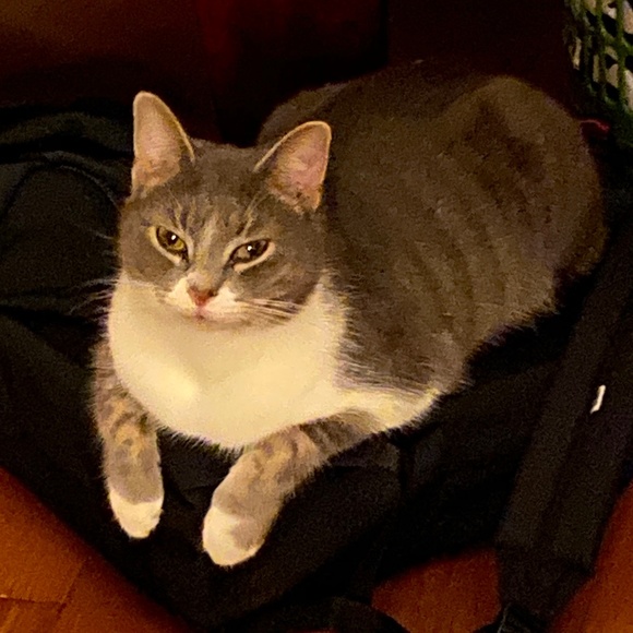 Meet your Posher, Meli! - Picture 2 of 13